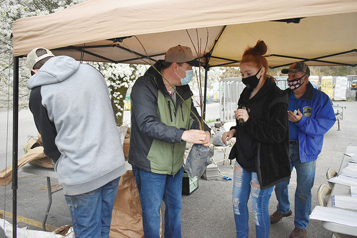 Perry County Conservation District holds annual tree giveaway